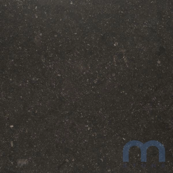 BELGIAN BLU