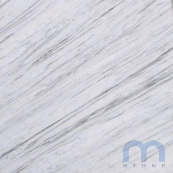 MODERN WHITE